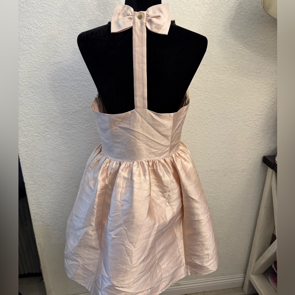 Kate Spade Blush Pink Dress - Picture 3 of 5